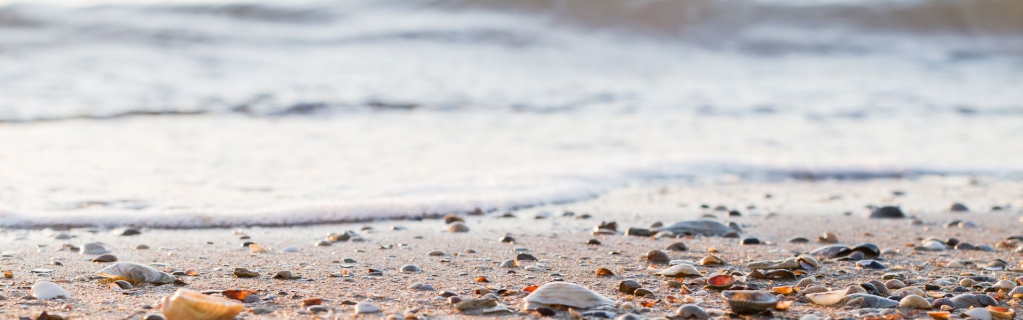 Politica de confidențialitate